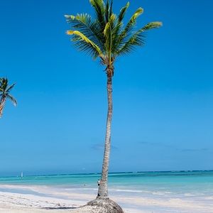 Meet your Posher, Carolina